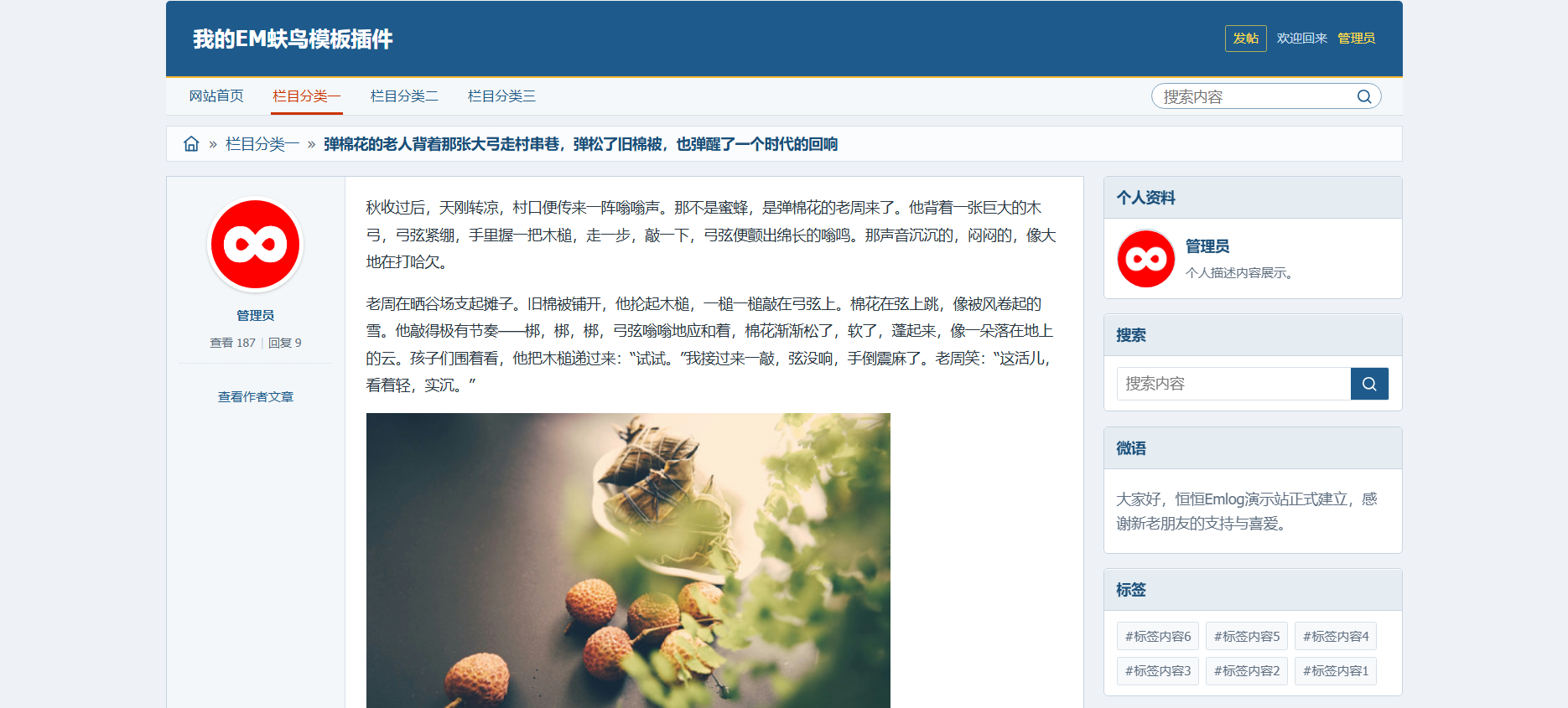 模板截图 3